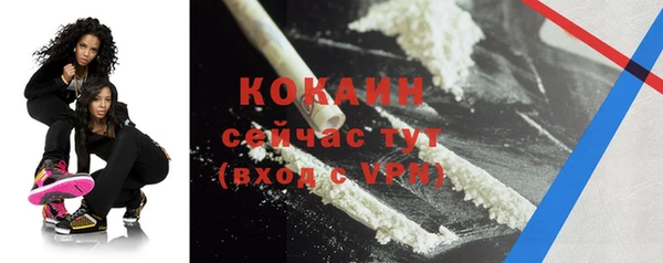 ECSTASY Богданович